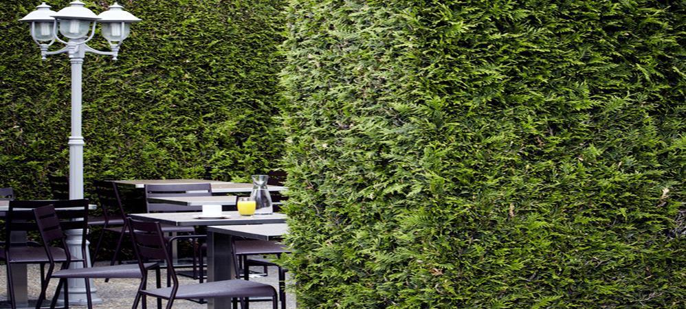 Campanile Grenoble Nord - Saint-Egreve Hotel Restaurant photo
